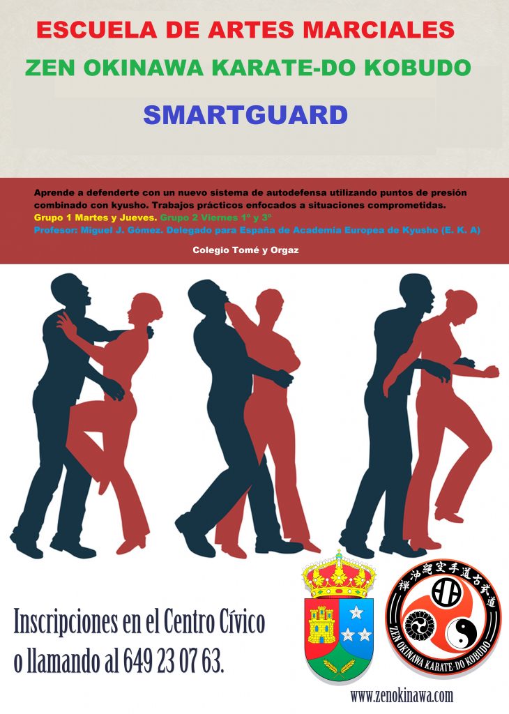 Smartguard Casarrubuelos 2018-19)